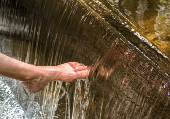 艾葉泡腳的方法-用艾草泡腳時，要記住禁忌哪些，很多人不懂，總是泡錯？